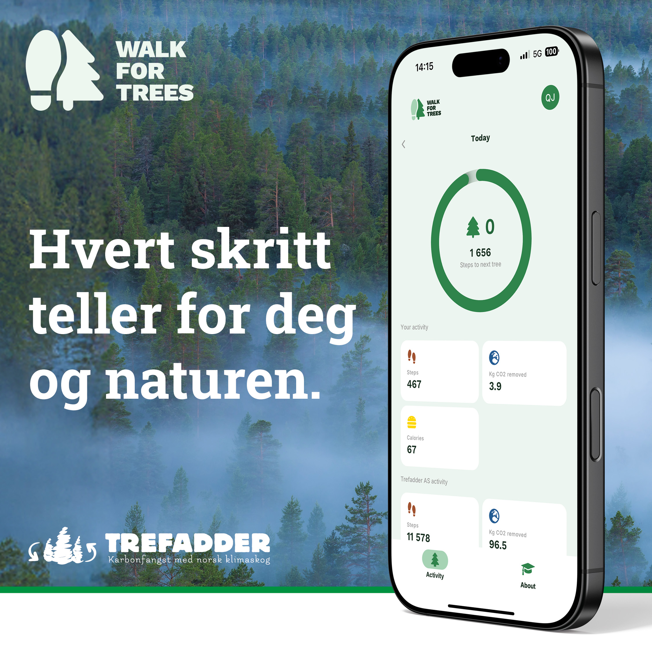 TREE DAY 1080x1080 v03b3