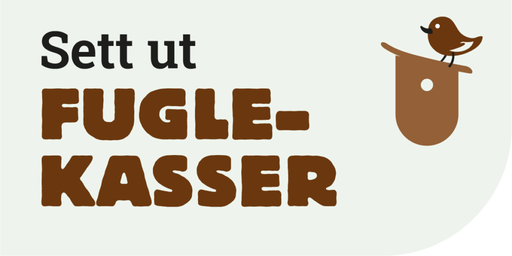 ProduktSett ut fuglekasser_no