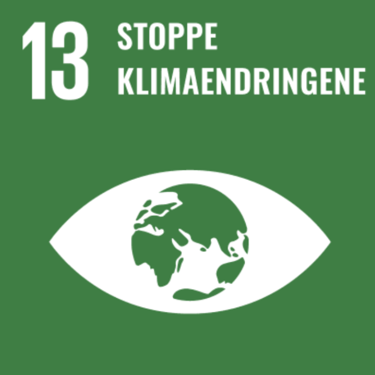 13StoppeKlimaendringene